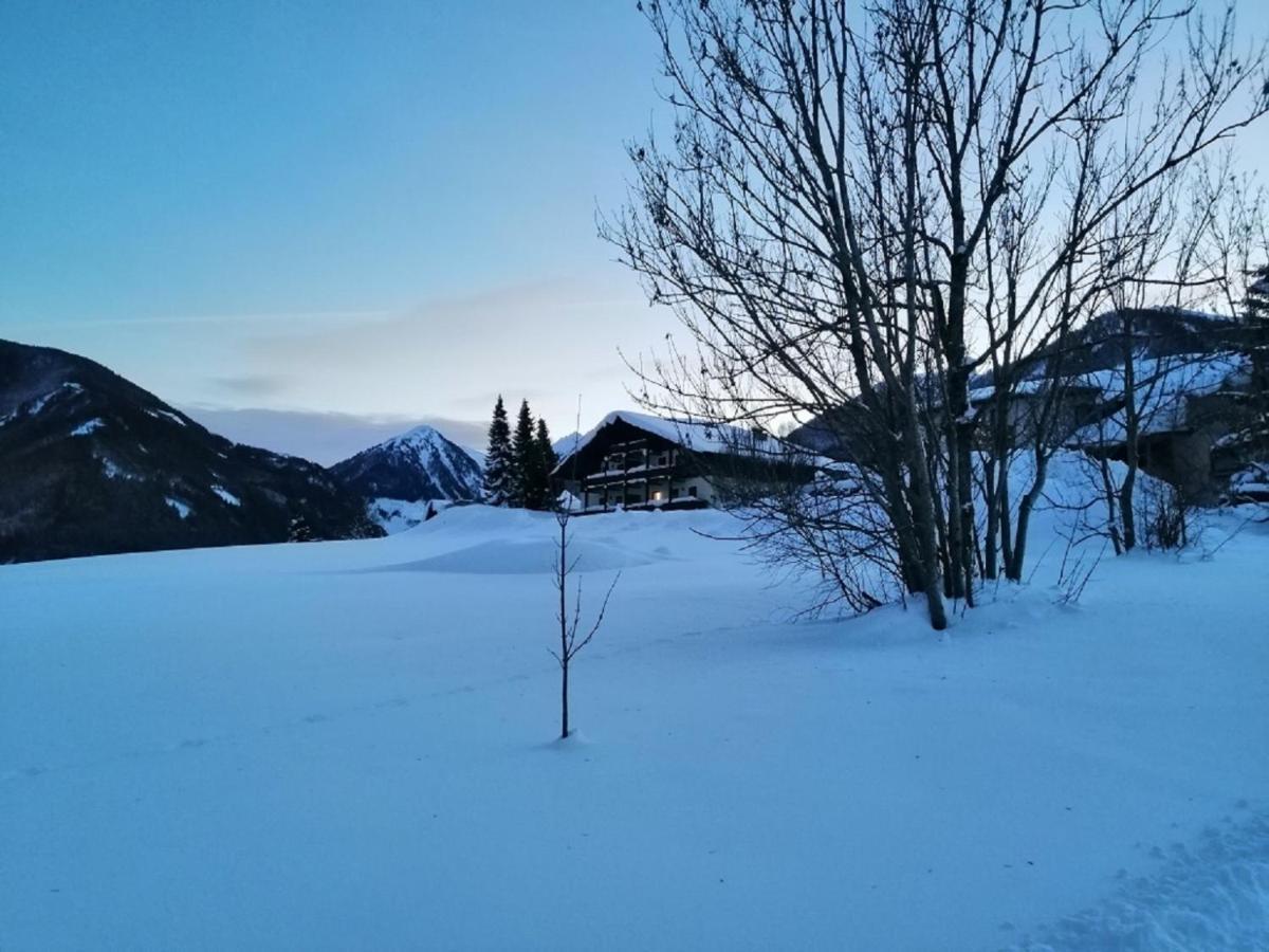 Zur Sonnigen, Eleganten Kuh Schladming Zewnętrze zdjęcie